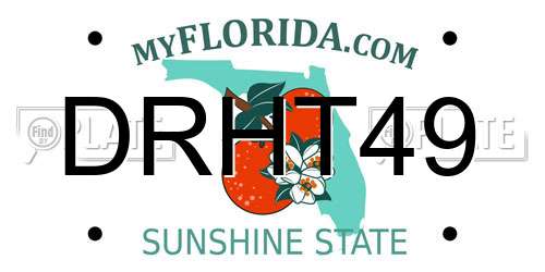 DRHT49 Florida License Plate