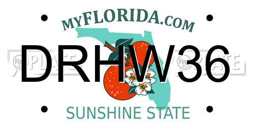 DRHW36 Florida License Plate