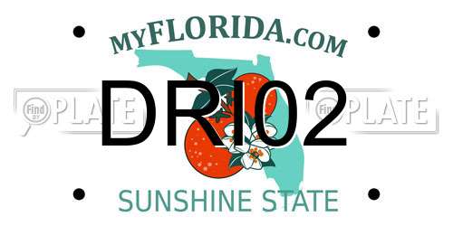 DRI02 Florida License Plate