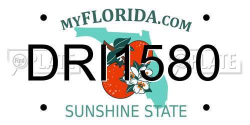 DRI1580 Florida License Plate