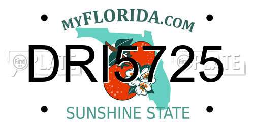 DRI5725 Florida License Plate