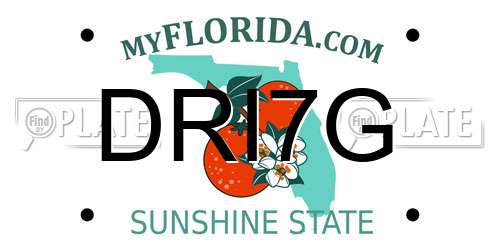 DRI7G Florida License Plate