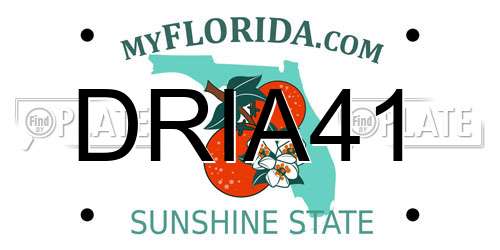 DRIA41 Florida License Plate