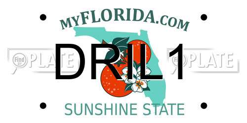 DRIL1 Florida License Plate