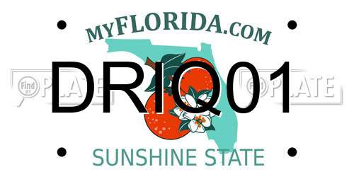 DRIQ01 Florida License Plate