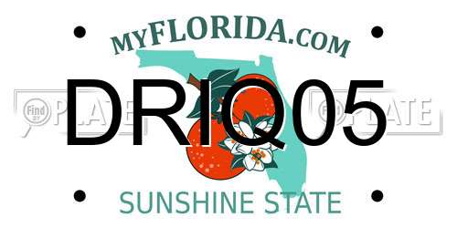 DRIQ05 Florida License Plate
