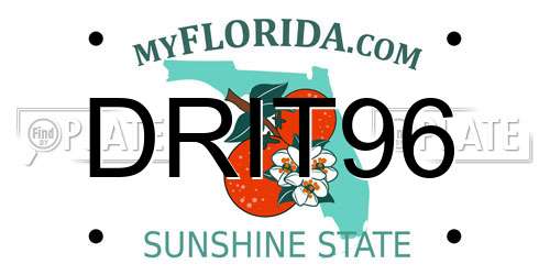 DRIT96 Florida License Plate