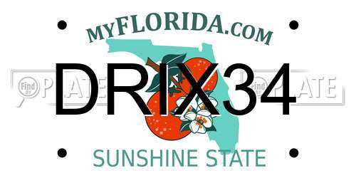 DRIX34 Florida License Plate