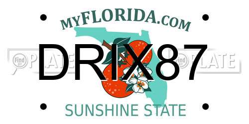 DRIX87 Florida License Plate