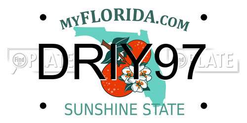 DRIY97 Florida License Plate