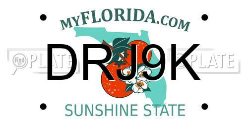 DRJ9K Florida License Plate
