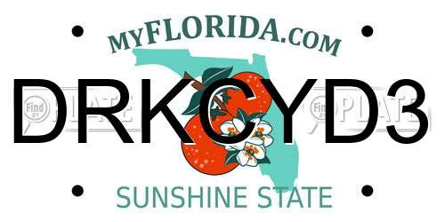 DRKCYD3 Florida License Plate