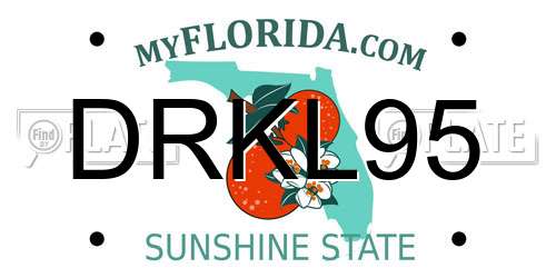 DRKL95 Florida License Plate