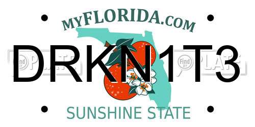 DRKN1T3 Florida License Plate