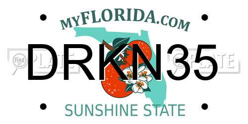 DRKN35 Florida License Plate