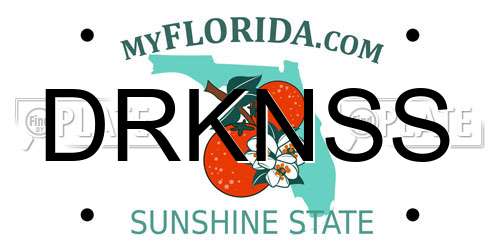 DRKNSS Florida License Plate
