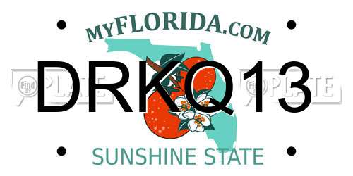 DRKQ13 Florida License Plate