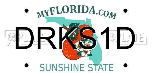 DRKS1D Florida License Plate