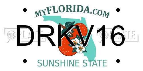 DRKV16 Florida License Plate