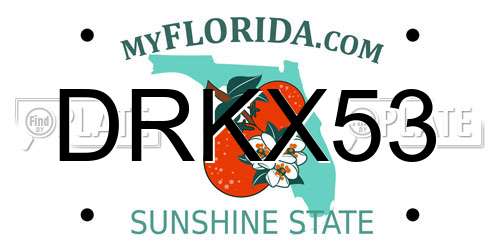 DRKX53 Florida License Plate