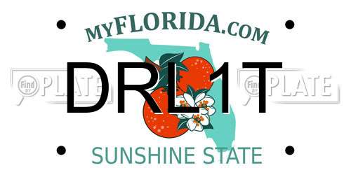 DRL1T Florida License Plate