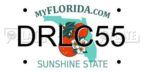 DRLC55 Florida License Plate
