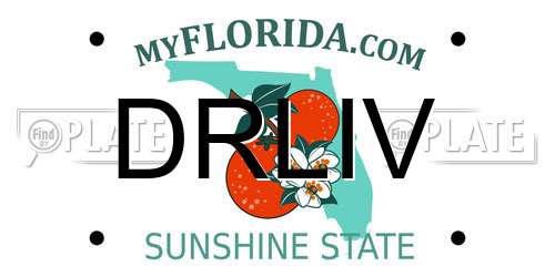DRLIV Florida License Plate