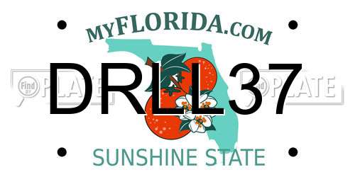 DRLL37 Florida License Plate