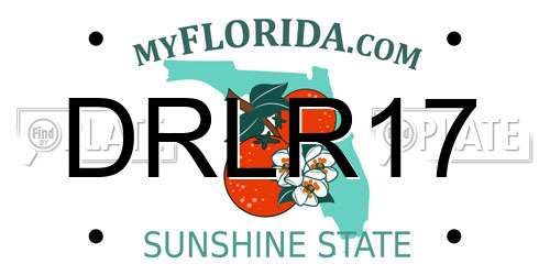 DRLR17 Florida License Plate