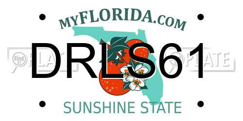 DRLS61 Florida License Plate