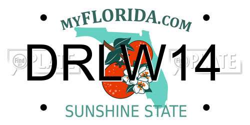 DRLW14 Florida License Plate