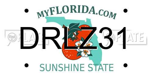DRLZ31 Florida License Plate