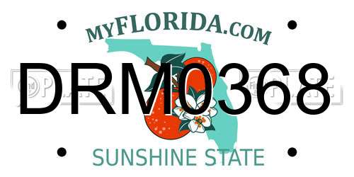 DRM0368 Florida License Plate