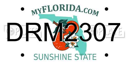 DRM2307 Florida License Plate