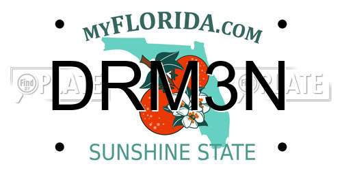 DRM3N Florida License Plate