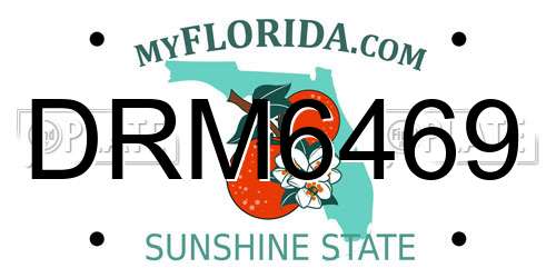 DRM6469 Florida License Plate