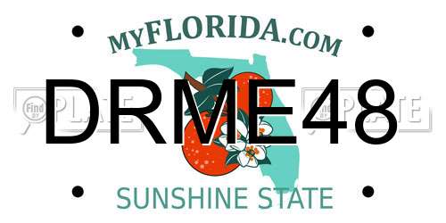 DRME48 Florida License Plate
