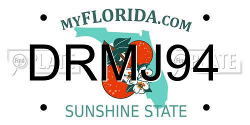 DRMJ94 Florida License Plate
