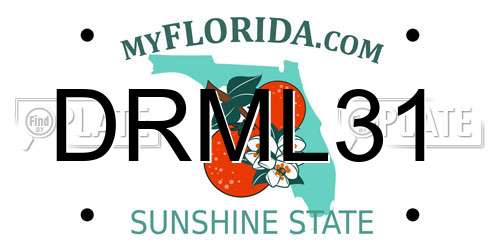 DRML31 Florida License Plate