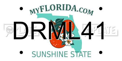 DRML41 Florida License Plate