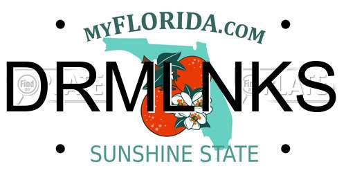 DRMLNKS Florida License Plate