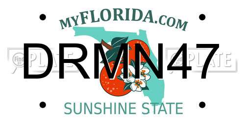 DRMN47 Florida License Plate