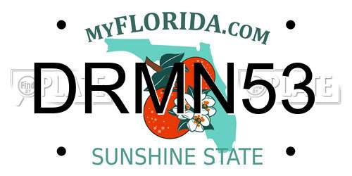 DRMN53 Florida License Plate