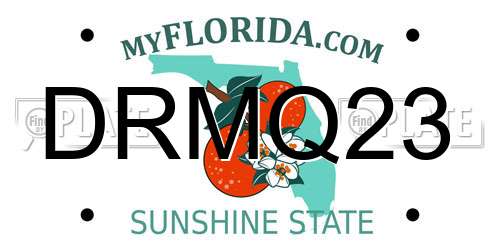 DRMQ23 Florida License Plate