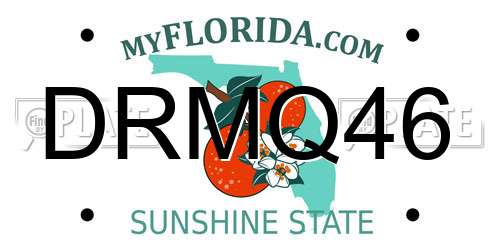 DRMQ46 Florida License Plate