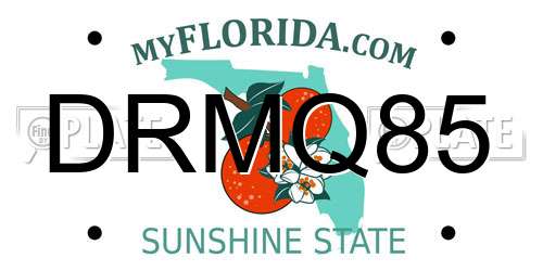 DRMQ85 Florida License Plate