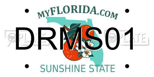 DRMS01 Florida License Plate