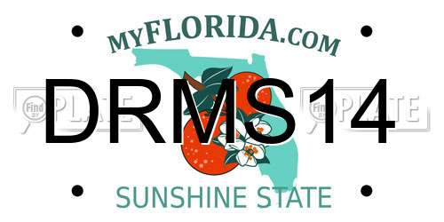 DRMS14 Florida License Plate