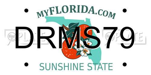 DRMS79 Florida License Plate