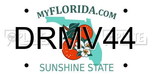 DRMV44 Florida License Plate